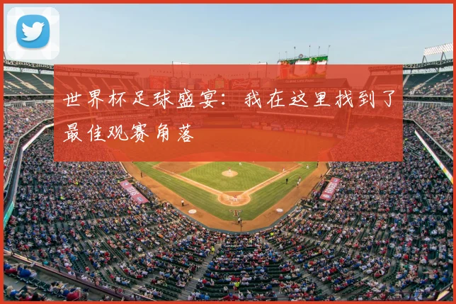 世界杯足球盛宴:我在这里找到了最佳观赛角落