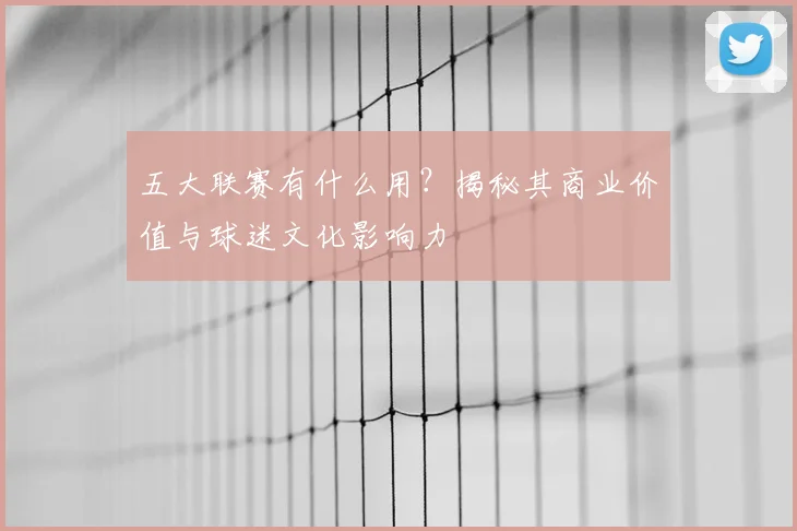 五大联赛有什么用？揭秘其商业价值与球迷文化影响力